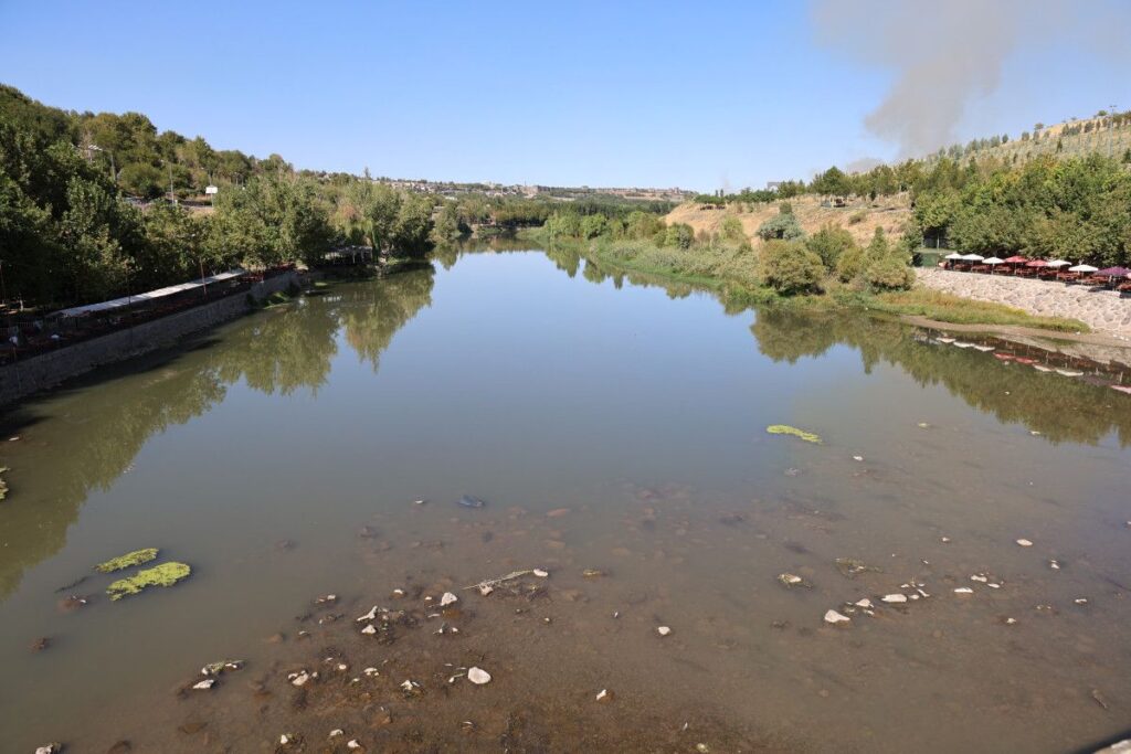 Dicle Nehri'nde Balık Ölümleri Arttı, Ekosistem Tehdit Altında