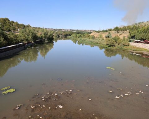 Dicle Nehri'nde Balık Ölümleri Arttı, Ekosistem Tehdit Altında