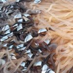 Sussex'te Fırtına Sonrası Nadir Kaz Midyeleri Kıyıya Vurdu