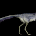 70 milyon yıllık dinozor yumurtası Arjantin'de bulundu