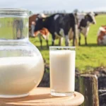 Rusya'da süt ürünlerine talep keskin şekilde azaldı