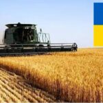 Ukrayna’nın tahıl ihracatı Avrupa’nın gıda direncini güçlendiriyor