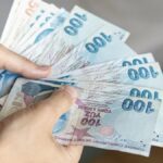 Aile Kart uygulaması, devlet desteklerine hızlı ve güvenli erişim sağlıyor