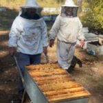 Arıcılar, Yükselen Mazot Fiyatlarıyla Mücadele Ediyor