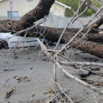 Aşırı hava olayları, Kaliforniya'da 100 milyar doları aşan maliyetlere yol açtı