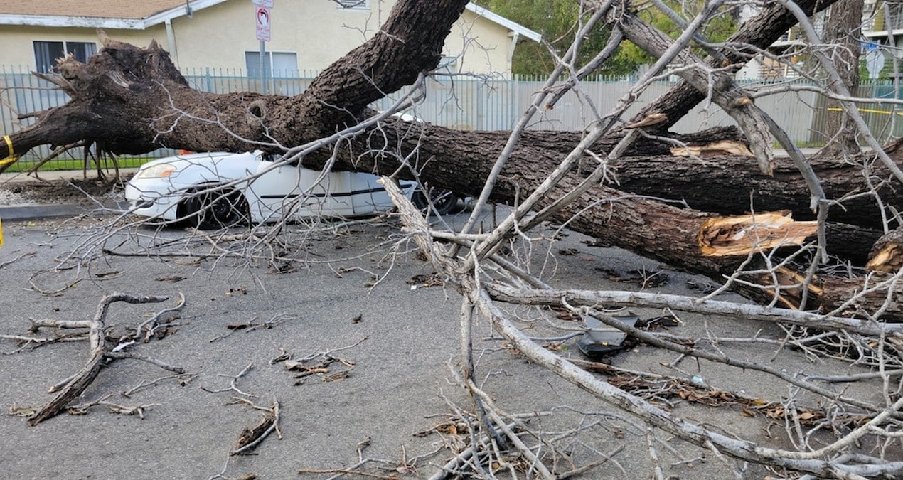 Aşırı hava olayları, Kaliforniya'da 100 milyar doları aşan maliyetlere yol açtı