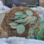 Bir Keşif Hikayesi: Metal Dedektörüyle Bulduğu 15 Bin Roma Sikkesiyle Tarihe Geçti