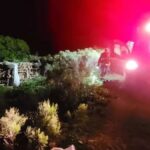 Brezilya'da Arıların Saldırısı Sonucu Baba ve Kızı Hayatını Kaybetti