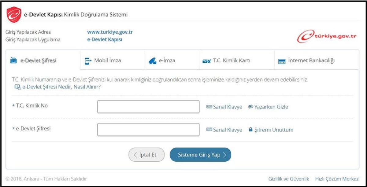 E-Devlet ile gümrükte bekleyen kargolarınızı hızlıca sorgulayın