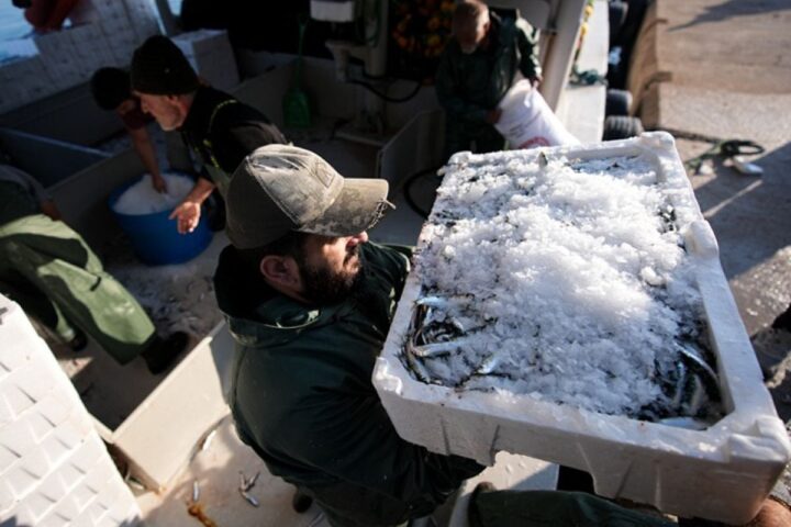 Ege Bölgesi Balıkçıları Tayfa Bulmakta Güçlük Çekiyor