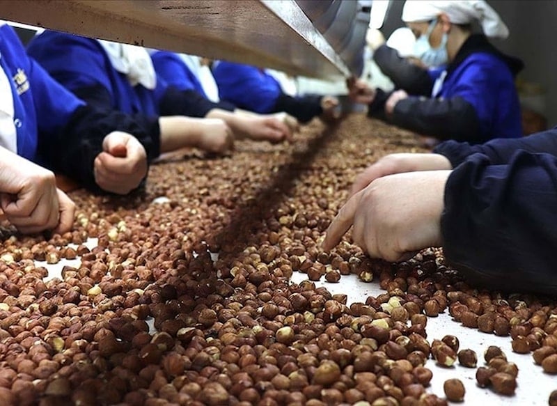 Fındık ihracatı yeni sezona 146 milyon dolarla başladı