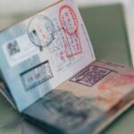 Japonya, Rusya'da Vize Başvuru Merkezleri Açıyor