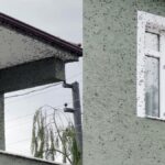 Kahverengi kokarca böceği Türkiye'de yeniden yayılmaya başladı