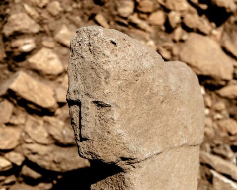 Karahantepe'de 12 Bin Yıl Öncesine Ait İnsan Yüzlü Dikilitaş Bulundu