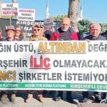 Kırşehir'de Doğa Katliamına Onay: Çevre Aktivitistleri Tepkili