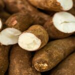 Manyok: Doğru Hazırlanmazsa Hayatı Tehdit Eden Bir Besin