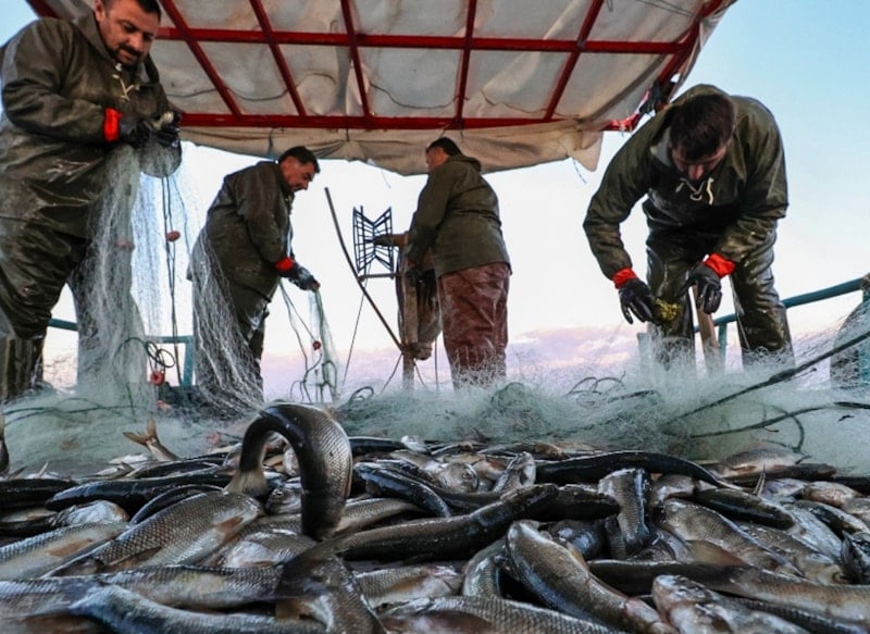 Müsilajdan Etkilenen İllere Ek Destek: Balıkçılara 5 Bin ile 12 Bin Lira Arasında Yardım