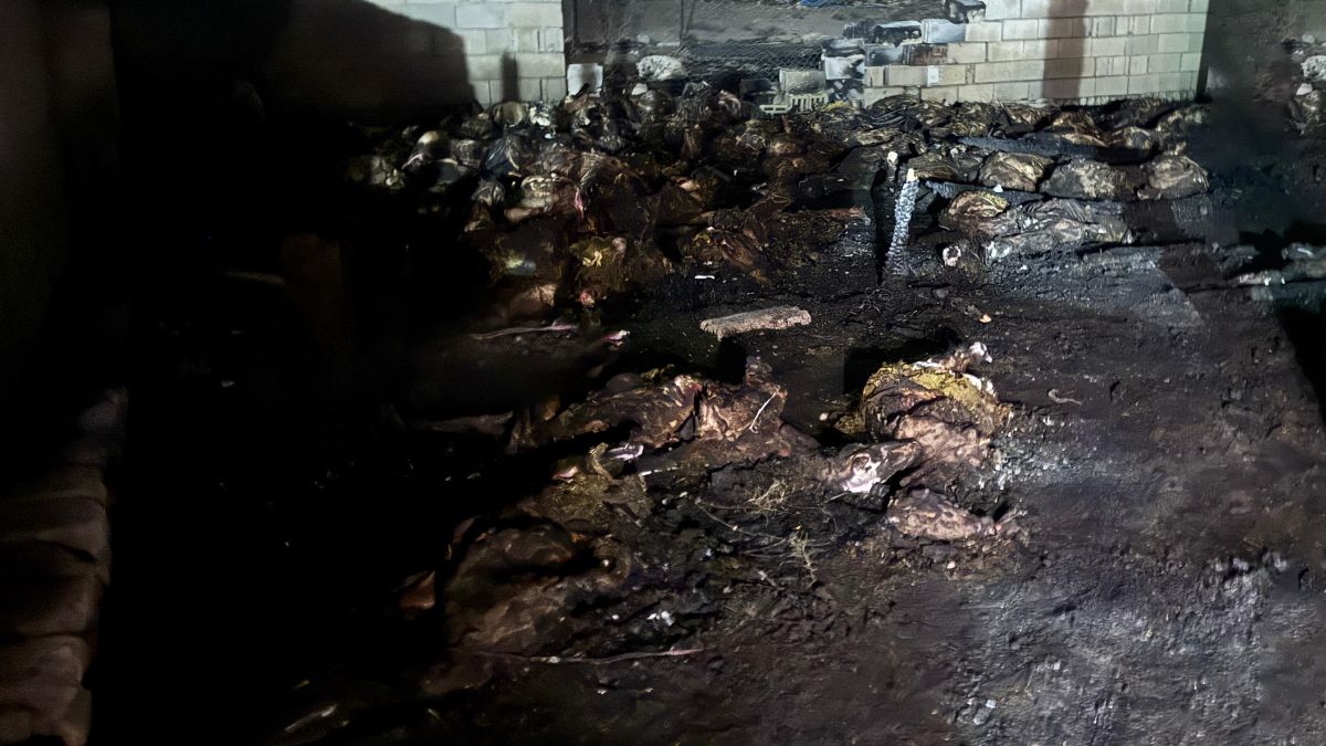 Niğde'de Ahır Yangınında 170 Koyun Telef Oldu