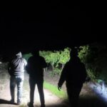 Sakarya'da Çiftçiler Dondan Mağdur, Hırsızlıkla Mücadele Ediyor