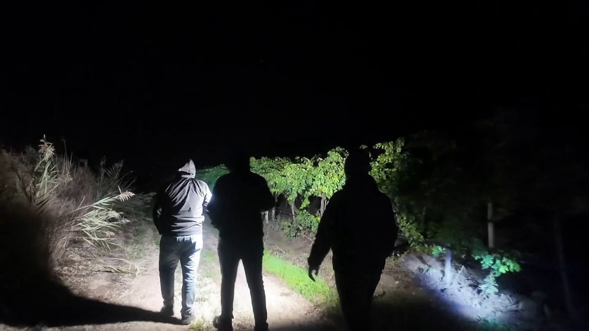 Sakarya'da Çiftçiler Dondan Mağdur, Hırsızlıkla Mücadele Ediyor