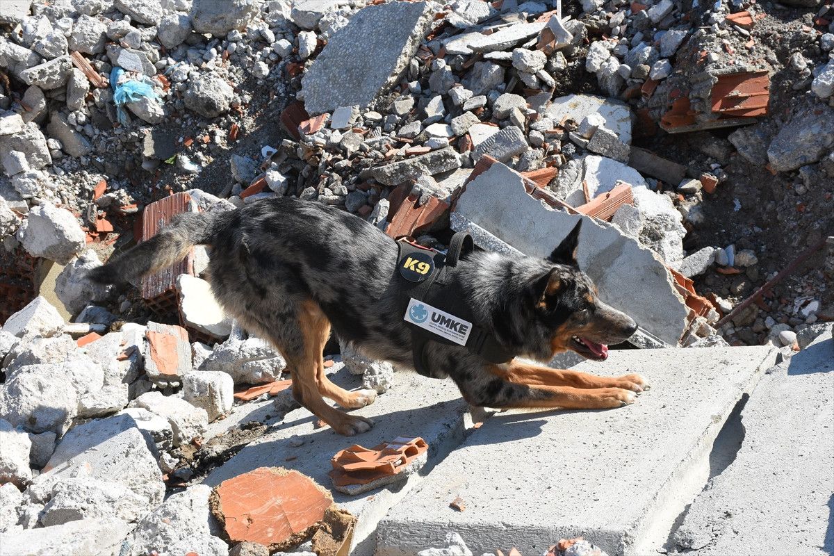 Samsun ve Bolu'da deprem tatbikatı ile afetlere hazırlık güçlendirildi