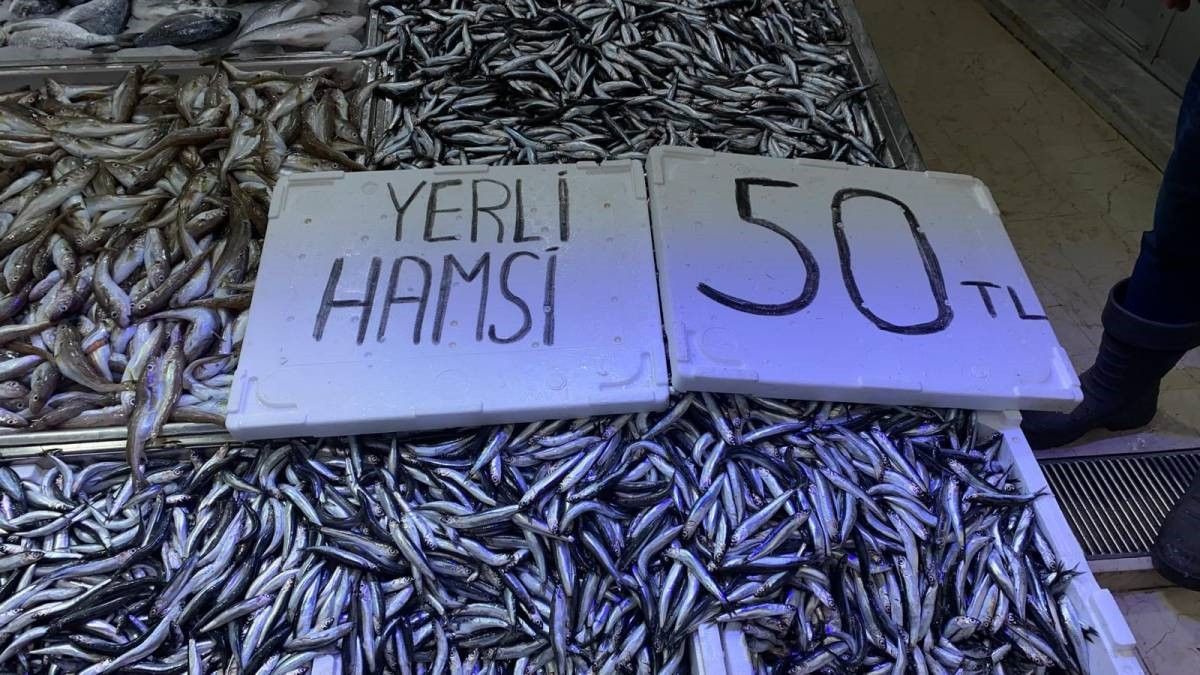 Sinop'ta Hamsi Fiyatları 100 Liradan 50 Liraya Düştü