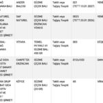 Tarım Bakanlığı'ndan Sahte Bal Uyarısı: 5 Ürün Tespit Edildi