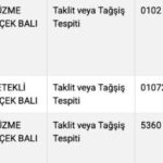 Tarım Bakanlığı'nın denetiminde üç bal markasında taklit tespit edildi