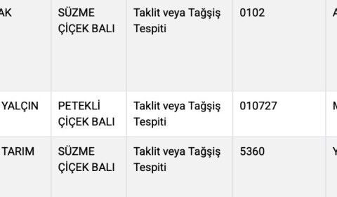 Tarım Bakanlığı'nın denetiminde üç bal markasında taklit tespit edildi