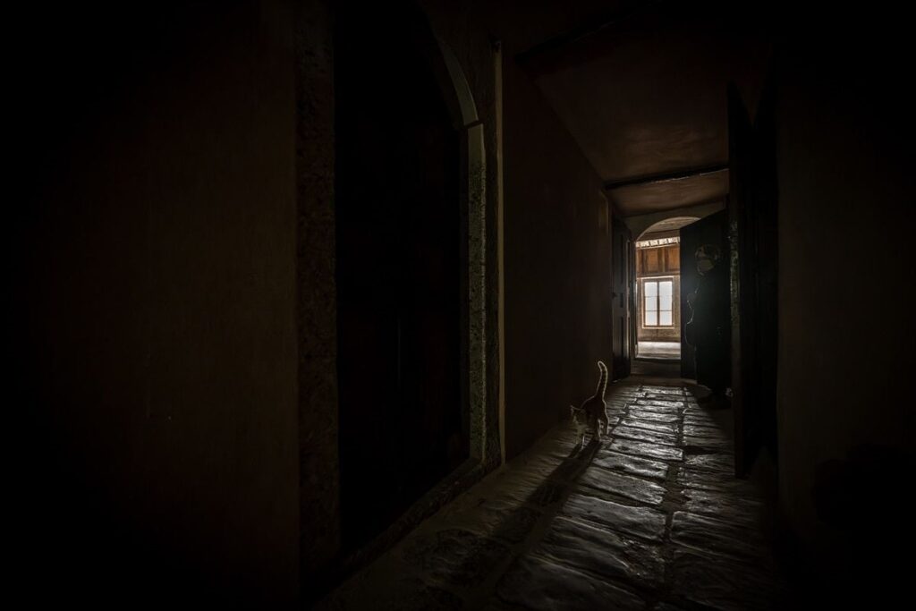 Topkapı Sarayı’ndaki Kedi Kapısı Restorasyonu Tamamlandı