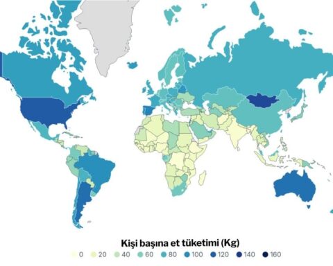 Türkiye, Et Tüketiminde Savaş Altındaki Ukrayna'nın Gerisinde Kaldı