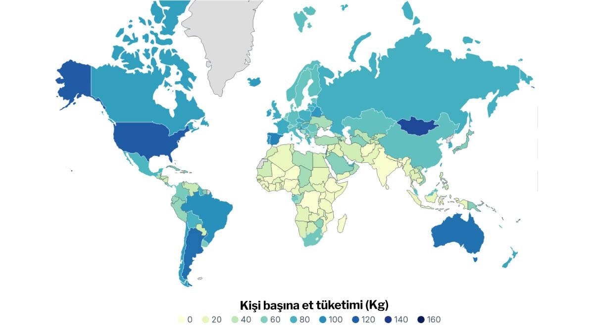 Türkiye, Et Tüketiminde Savaş Altındaki Ukrayna'nın Gerisinde Kaldı