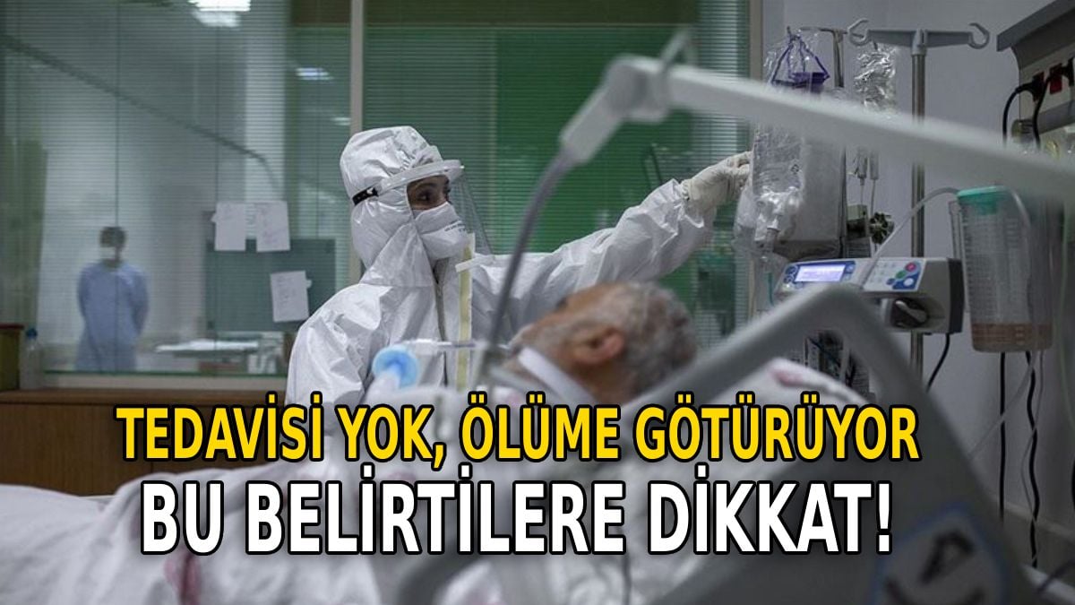 Türkiye'de Deli Dana Hastalığı Vakaları Artıyor, Belirtilerine Dikkat Edilmesi Gerekiyor