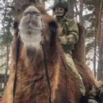 Ukrayna, Rus güçlerinin elindeki bölgeden bir deve ele geçirdi