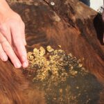 Yapay zeka ile altın madenciliği: Ayda 12 milyon dolara ulaşan potansiyel