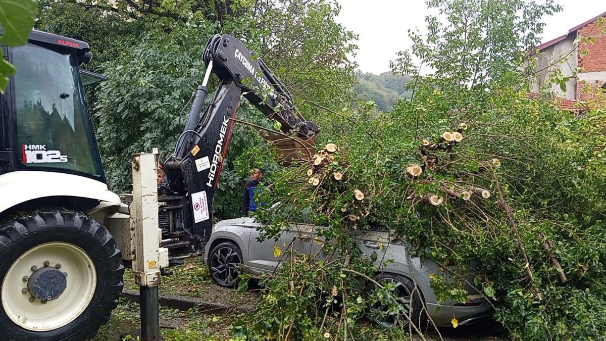 Zonguldak'ta Fırtına Nedeniyle Otomobilin Üzerine Ağaç Devrildi
