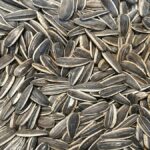 Almanya'da Türk Markası Dolunay'a Ait Ay Çekirdekleri Geri Çağrıldı