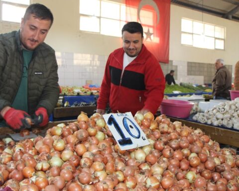 Amasya'da soğan fiyatları 7 aydır sabit kalıyor: Kilosu 10 TL.