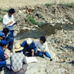 Çin'de 1.500 Ton Altın Rezervi Bulundu: Jeolojik Araştırmalar 40 Yılda Sonuçlandı