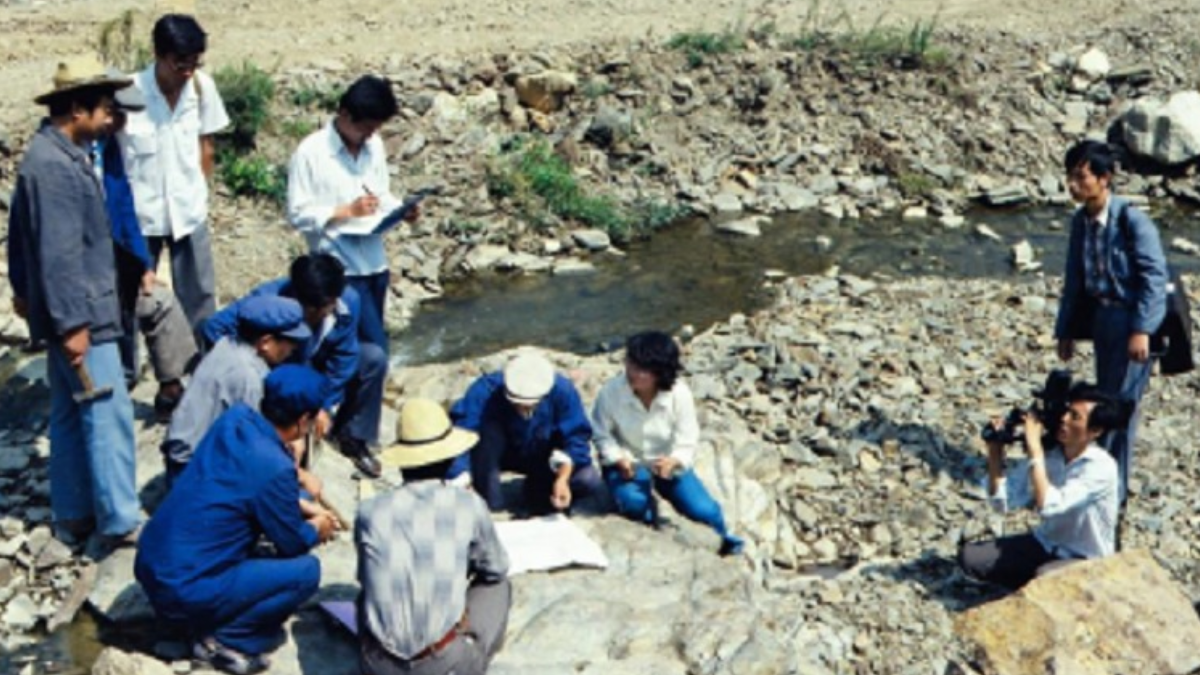 Çin'de 1.500 Ton Altın Rezervi Bulundu: Jeolojik Araştırmalar 40 Yılda Sonuçlandı