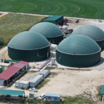 Edirne'de atıklar, elektrik enerjisi ve doğal gübreye dönüştürülüyor