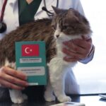 Evcil Hayvan Sahiplerine Son Uyarı: Mikroçip ve Kayıt İçin Son Tarih 31 Aralık 2025