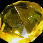 Floransa Elması’nın 100 Yıllık Sırrı Kanada'da Ortaya Çıktı