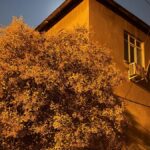 Gebze'deki Çatlak ve Kayma Tespit Edilen Bina Tahliye Edildi