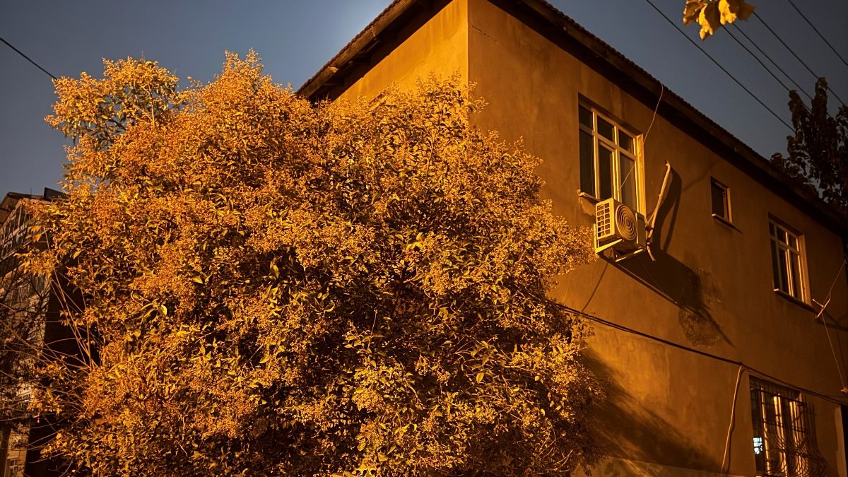Gebze'deki Çatlak ve Kayma Tespit Edilen Bina Tahliye Edildi