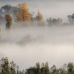 Hevsel Bahçeleri'nin UNESCO Korumasındaki Eşsiz Doğal Güzellikleri
