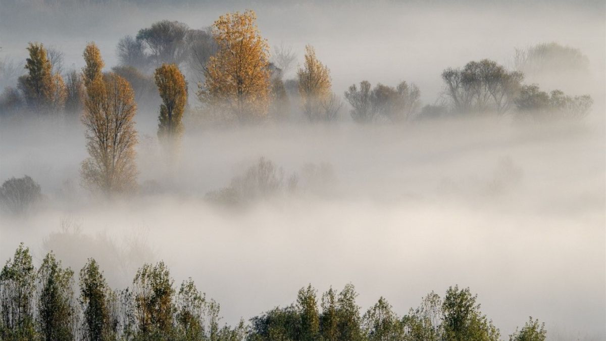 Hevsel Bahçeleri'nin UNESCO Korumasındaki Eşsiz Doğal Güzellikleri
