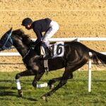 İngiltere'deki at yarışı sektörü, artan vergi yüküyle karşı karşıya