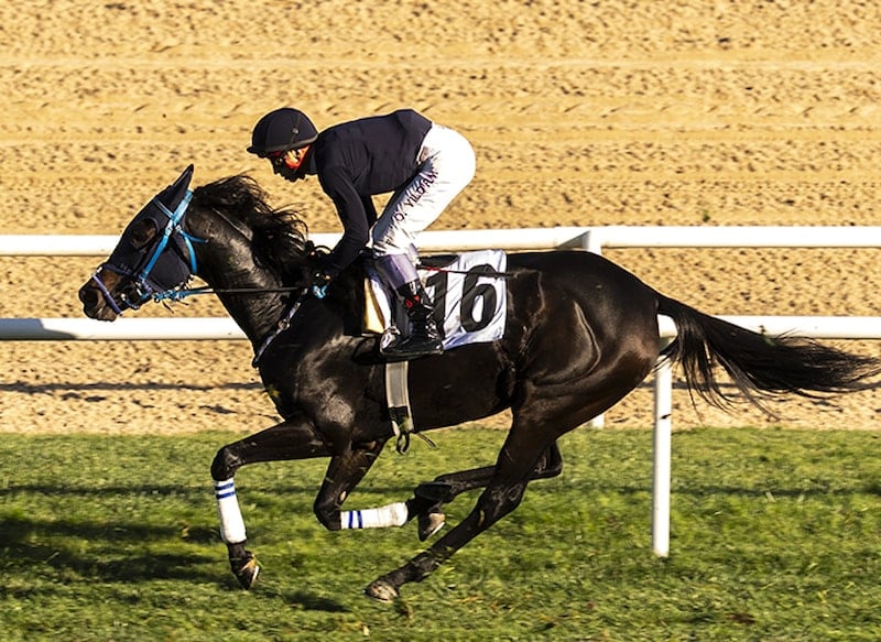 İngiltere'deki at yarışı sektörü, artan vergi yüküyle karşı karşıya