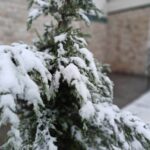 Kayseri'de kar yağışı mahalleleri beyaz örtüyle kapladı